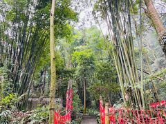 -峨眉山风景名胜区