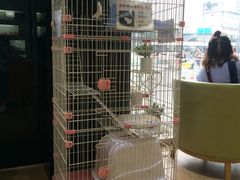 -熊猫邮局(少城店)