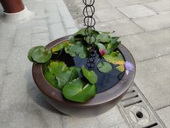 -黄公望隐居地