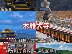 -王婆婆老妈蹄花川菜馆·非物质文化遗产(太古里一店)