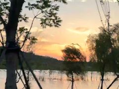 -合肥滨湖国家森林公园