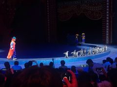 -珠海横琴长隆《卡卡虎奇遇记》