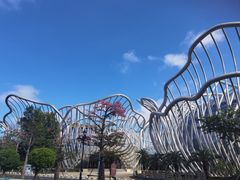 -海花岛旅游度假区