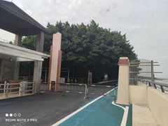 -大湾区中央湿地公园