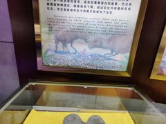 -诸城市恐龙博物馆