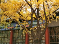 -四川大学(华西校区)