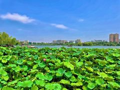 -济南大明湖景区