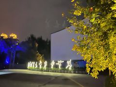-枫花园汽车电影院(朝阳公园店)
