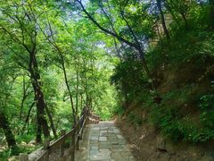 -大岭沟猕猴桃谷风景区