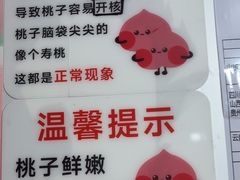 -老袁家蜜桃农场·阳山水蜜桃