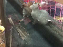 -朱氏胖子烂火锅(洪崖洞店)