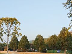 -秦始皇帝陵博物院-丽山园