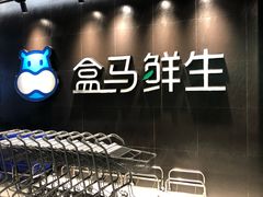 门面-盒马鲜生(曜一城店)