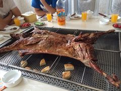 iphone_upload_pic-西夏一品烤全羊(百桥路店)