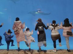 -华夏文旅海洋公园