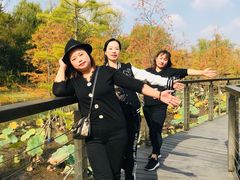 -昆山城市生态森林公园