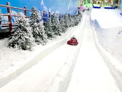 -世界之窗阿尔卑斯冰雪世界