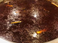 -冯记香辣兔火锅(茶店子总店)
