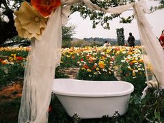 -名花谷生态庄园