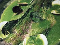 -狮拾久·现代新加坡料理(壹方城店)