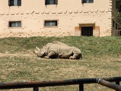 -大连森林动物园