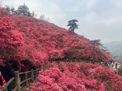 -木兰云雾山