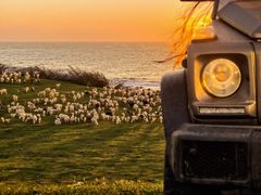 -呼和诺尔旅游景区