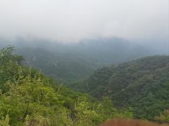-大岭沟猕猴桃谷风景区