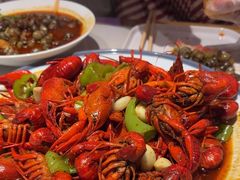 -杨氏青龙虾·羊蝎子(托乐嘉店)