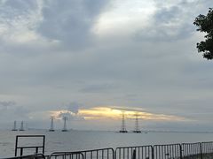 -宝安西湾红树林湿地公园