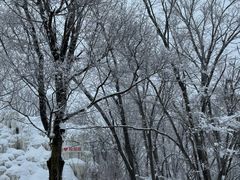 -中旅松花湖滑雪场