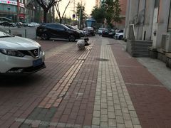 -林之六八·6886大连老菜馆