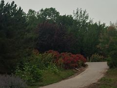 -永定河休闲森林公园