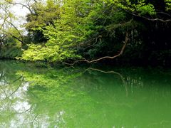 -清远鱼水旅游风景度假区