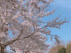 -云中捞高空旋转餐厅(商茂世纪广场店)