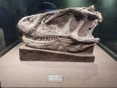 -自贡恐龙博物馆