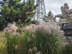 -羊亭河湿地公园