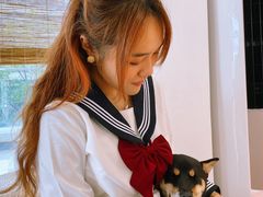 -南京Hallo宠物乐园·哈罗犬舍·柴犬繁育基地