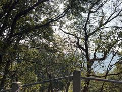 -灵顺寺