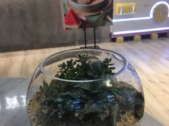 -宝珠奶酪(浦东金桥店)