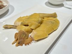 -花城苑广府菜(侨鑫店)