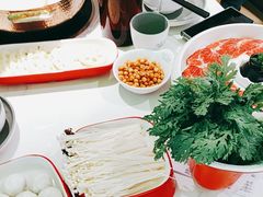 -洪氏嗨捞·广东猪肚鸡·椰子鸡火锅(西咸万象城店)