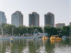 -团结湖公园