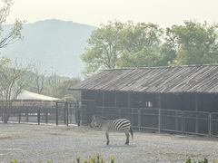 -无锡动物园·太湖欢乐园