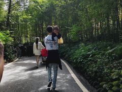 -都江堰中华大熊猫苑