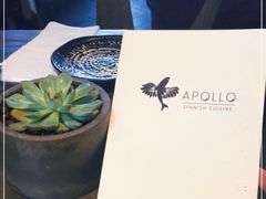 -Apollo·西班牙小酒馆(安福路店)