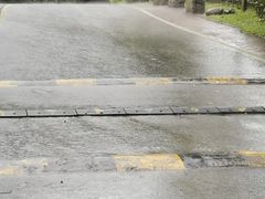 -火炉山森林公园
