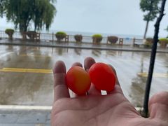 -大理洱海