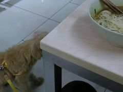 -玉华饮食店(茅台路店)