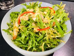 凉拌苦菊-很久以前羊肉串(昌里路三钢里店)